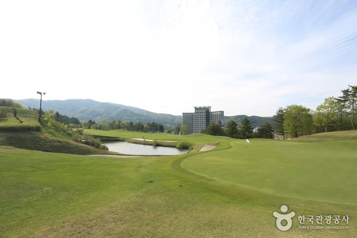 휘닉스 태기산CC